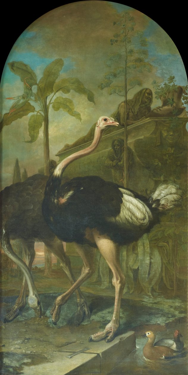 Een struisvogelpaar, op de achtergrond een sarcofaag door Ignaz Heinitz von Heinzenthal