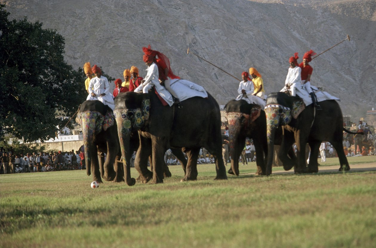 Mannen spelen olifantenpolo (foto) door Indian Photographer