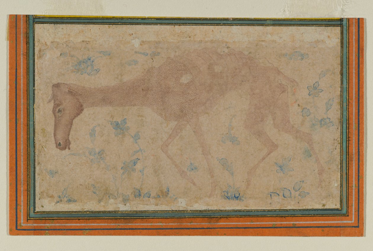 Een Uitgemergeld Paard, uit Mughal of Deccan door Indian School