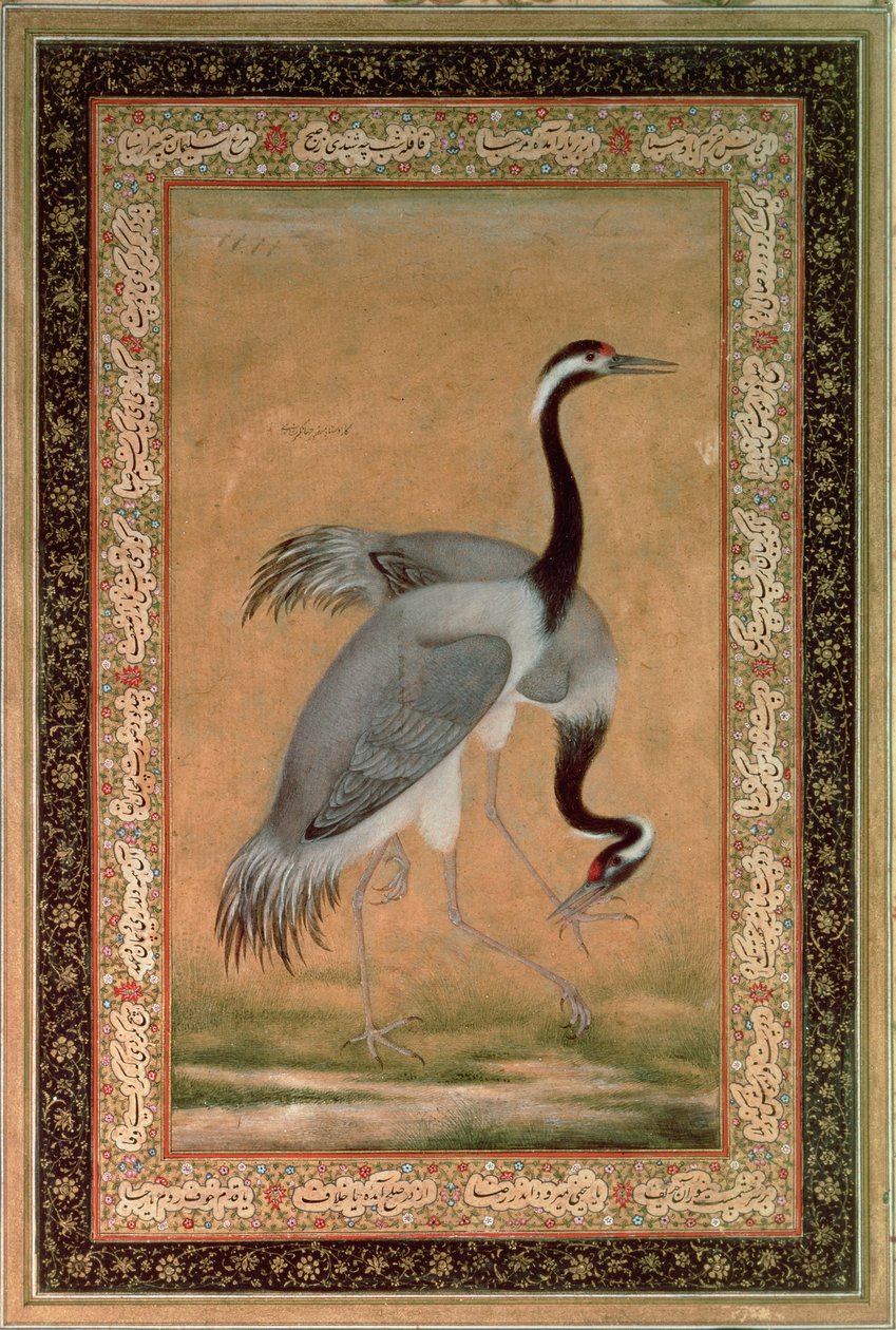 Kraanvogels door Mansur, Jahangir Periode, Mughal door Indian School