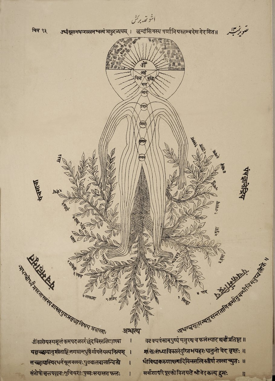 Diagram met meridiaanpunten op het menselijk lichaam door Indian School