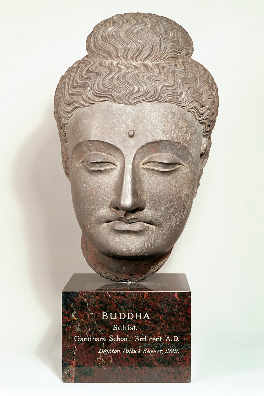 Hoofd van een Boeddhabeeld, uit Gandhara, noordwest India (grijze leisteen) door Indian School