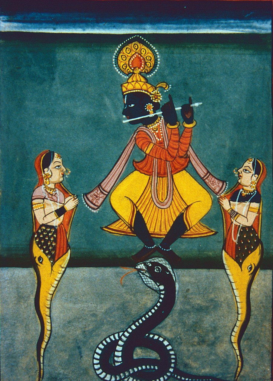 Heer Krishna door Indian School