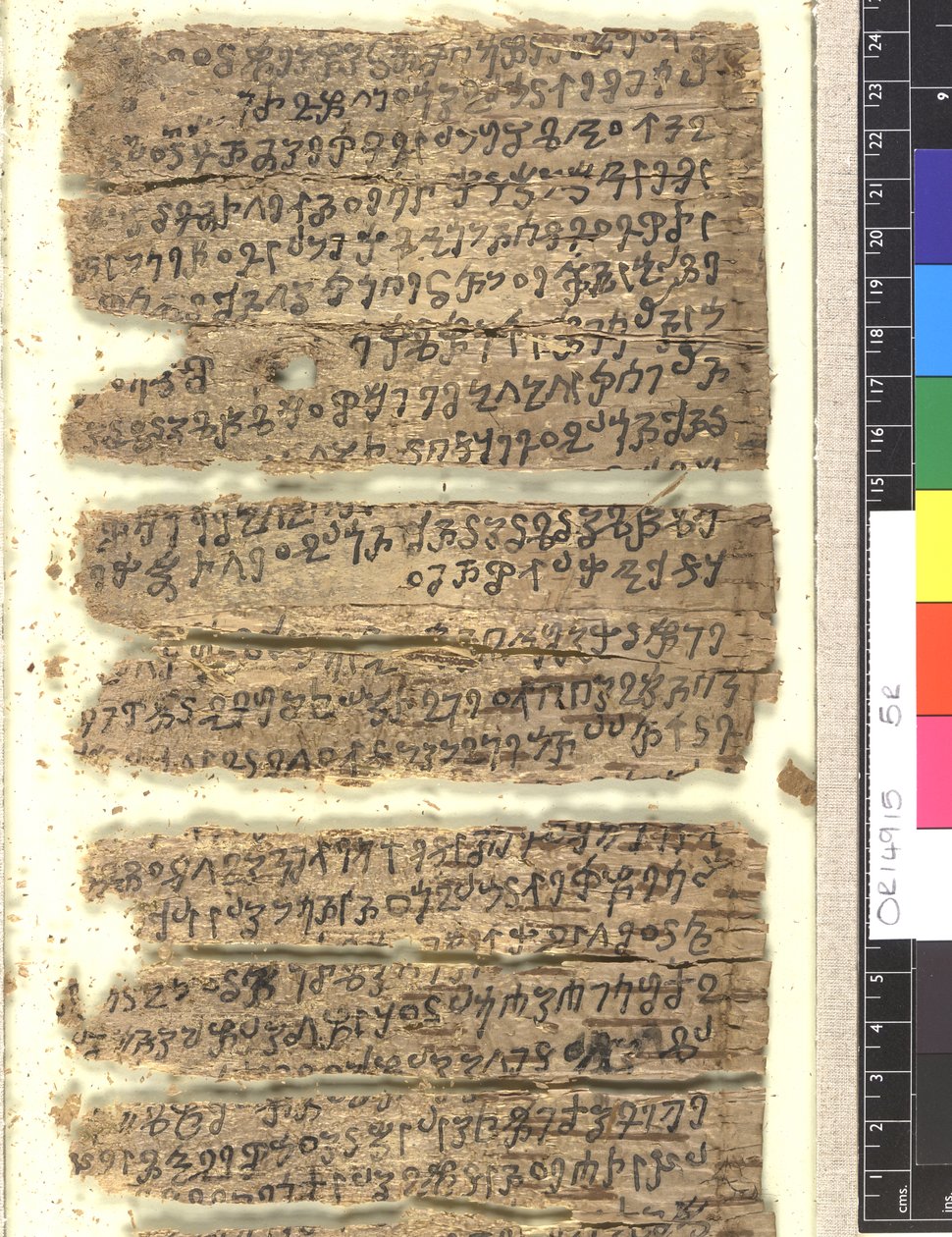 Fragmenten van berkenbast manuscript in Kharoṣṭhī door Indian School