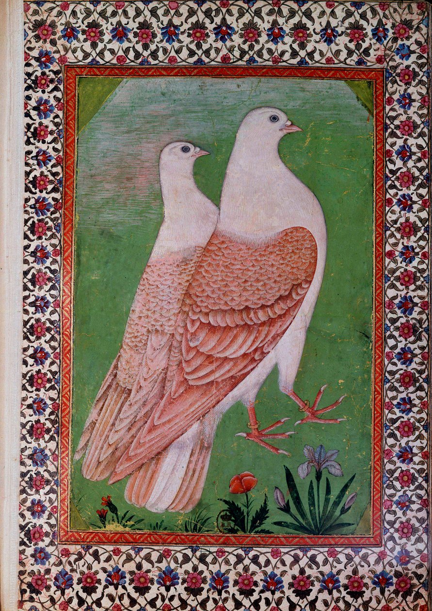 Oosterse kunst: twee duiven door Indian School