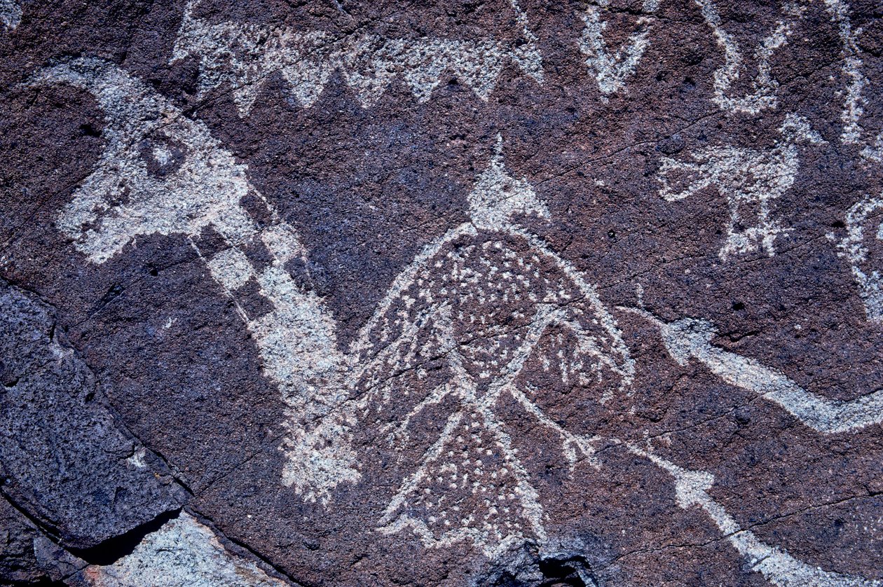 Anasazi Petroglyph (rotstekening) gravures in New Mexico. door Ira Block