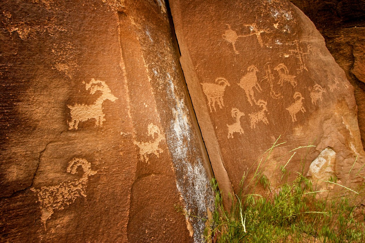 Panelen van schapen nabij de Sandhill Crane-petroglyfsite in Nine Mile Canyon. door Ira Block