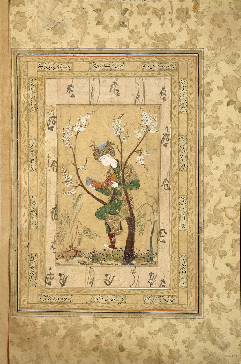 Jongere zittend in de vork van een bloeiende boom, 1560s door Iranian Master