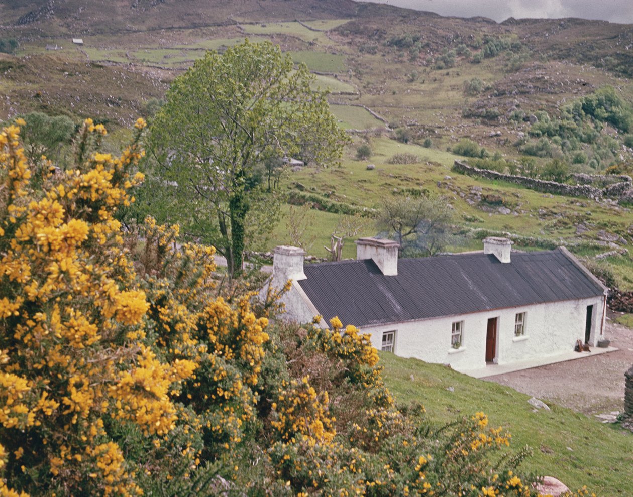 Cottage in County Kerry, Ierland door Irish Photographer