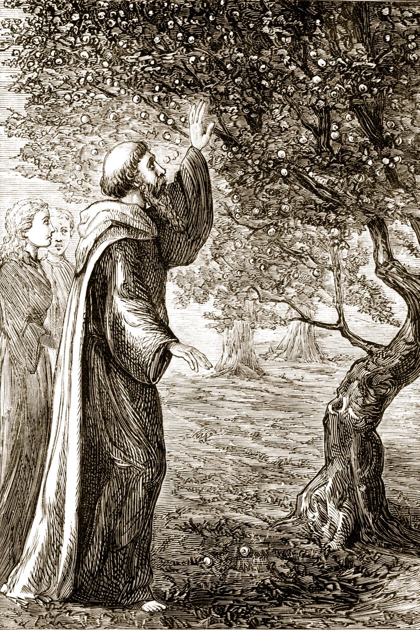St. Columba verandert bittere vruchten in zoete, uit The Trias Thaumaturga, of Three Wonder-Working Saints of Ireland, door Mary Cusack, gepubliceerd ca. 1890s door Irish School