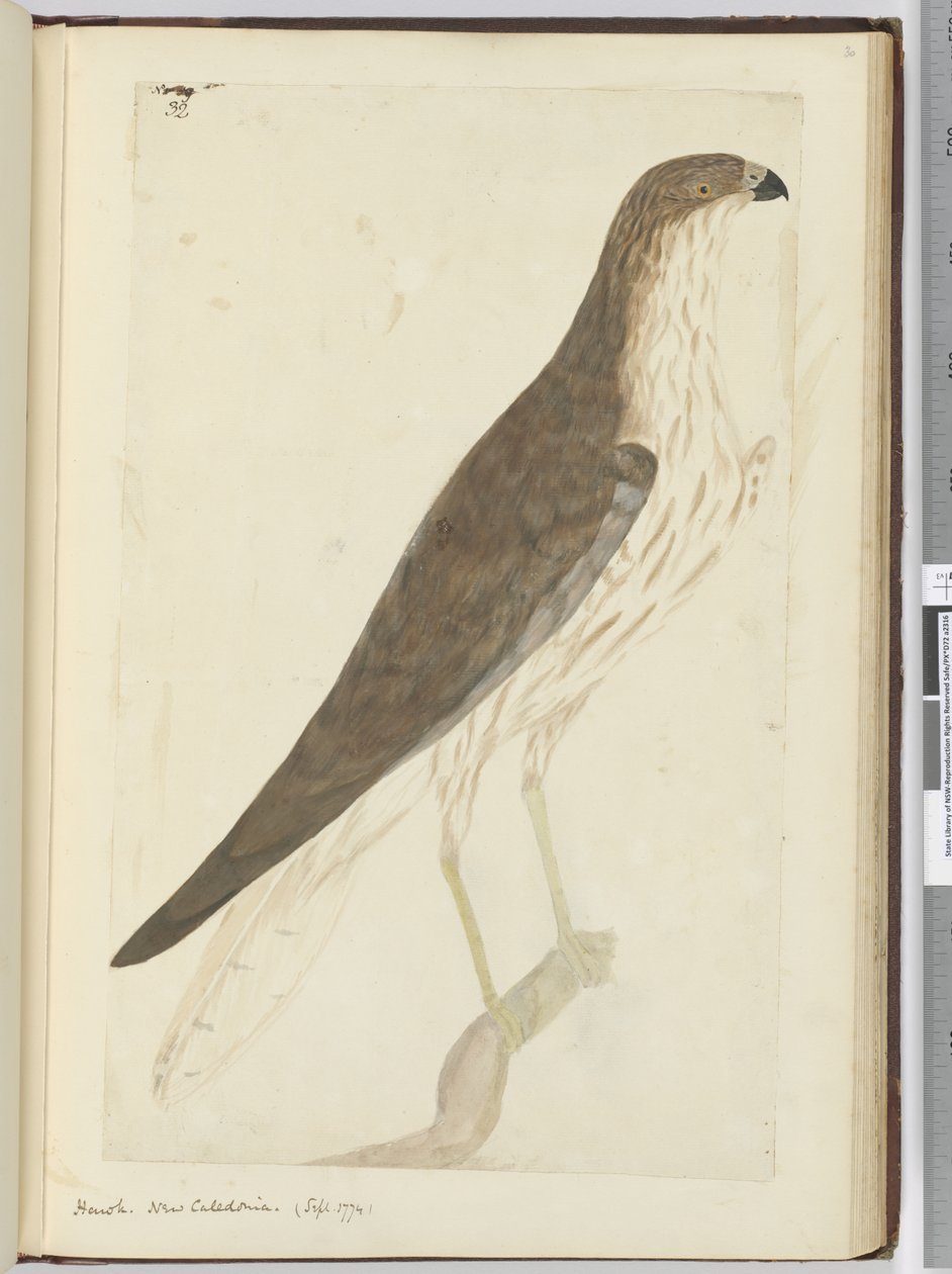 Havik. Nieuw-Caledonië. (Sept. 1774), 1772-75 door Isaac Smith