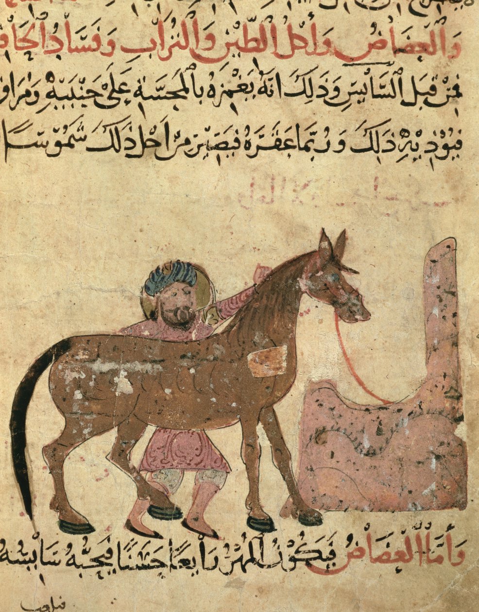 Zorg voor het paard, illustratie uit het 