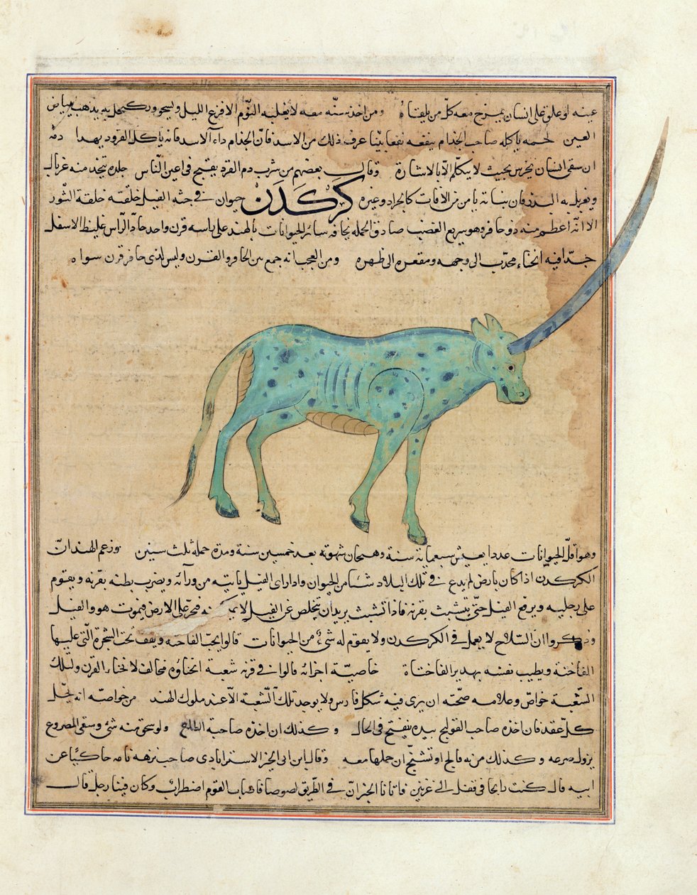 Ms E-7 fol.191b Neushoorn, illustratie uit 