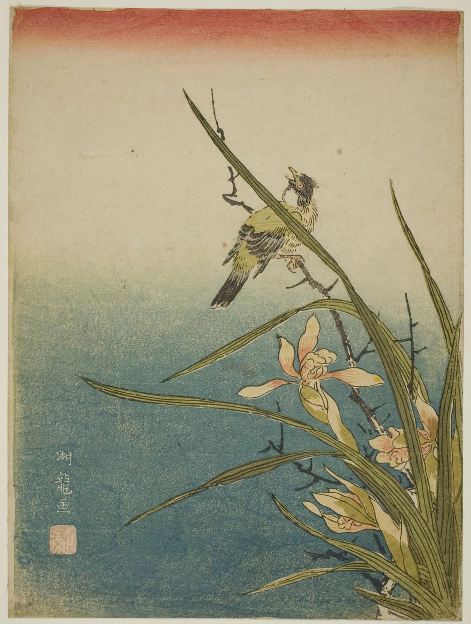 Orchidee en vogel door Isoda Koryusai