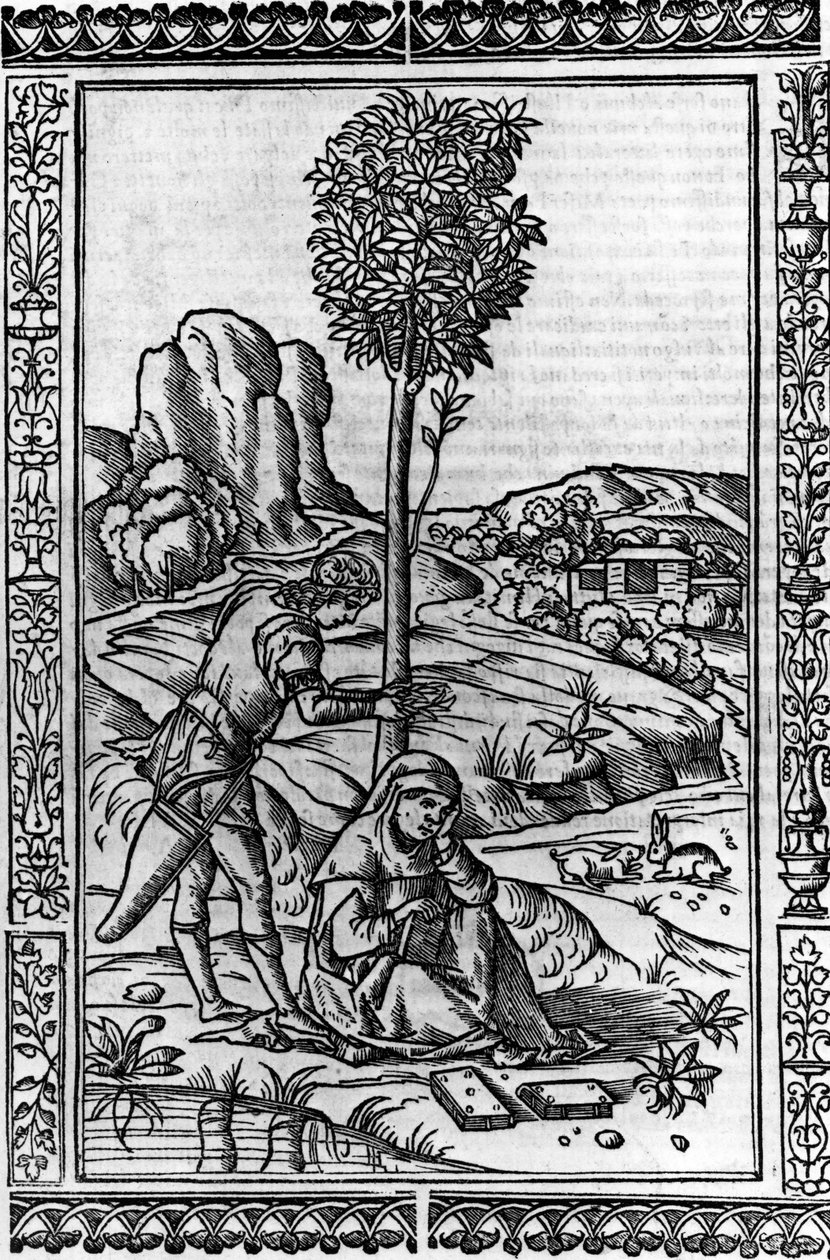 Frontispice voor een gedichtenboek van Francesco Petrarca door Italian School