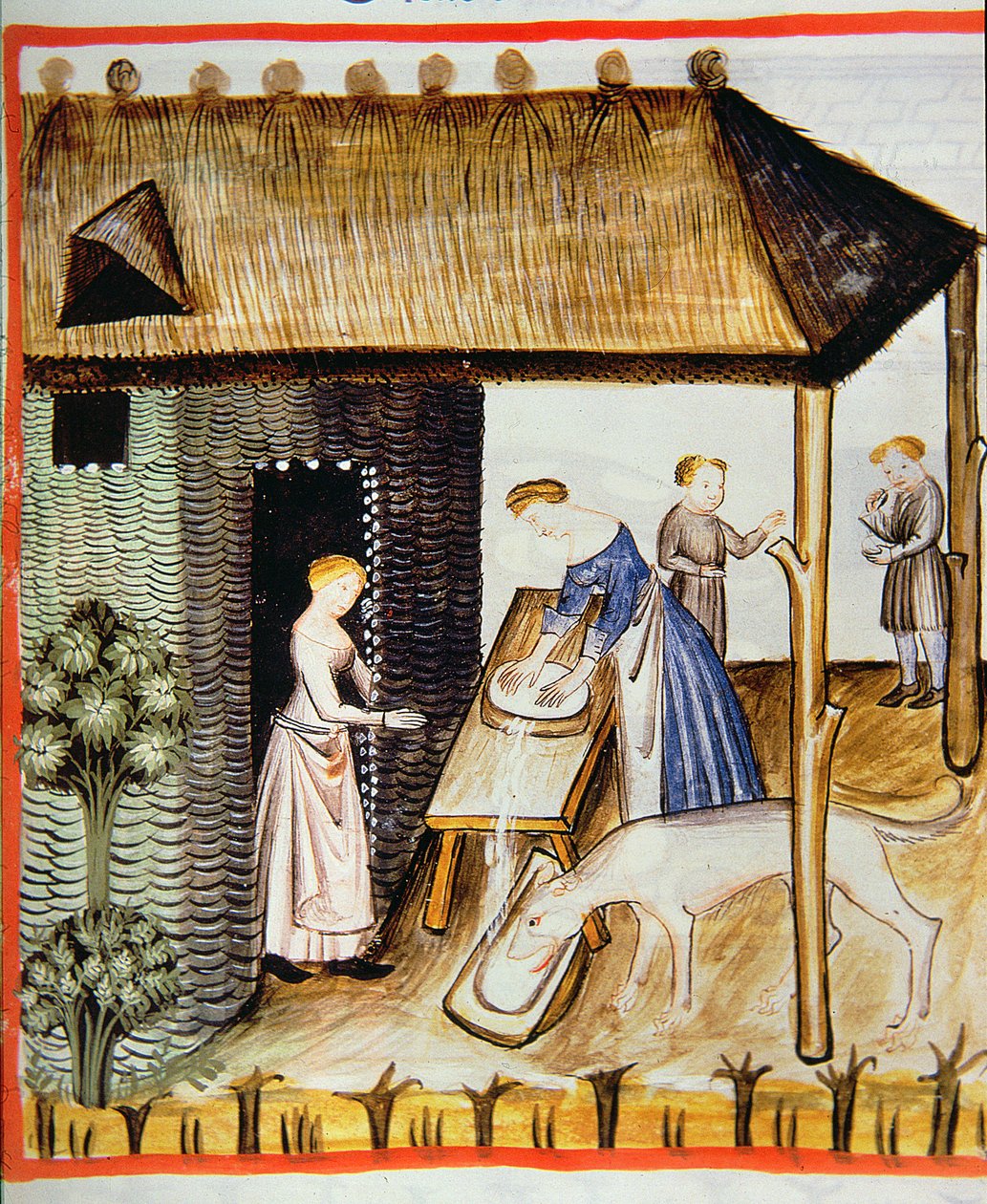 Nova 2644 fol.60r Bereiding van verse kaas, uit Tacuinum Sanitatis door Italian School