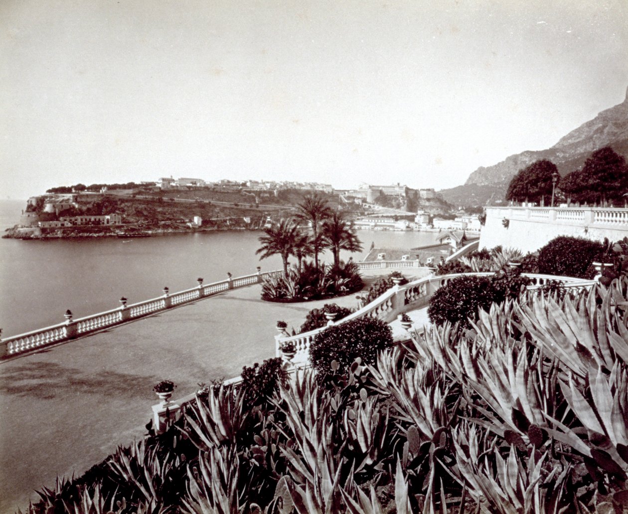 Panorama van Montecarlo. Op de voorgrond, dichte vegetatie van agaveplanten en cactus door Italian Photographer