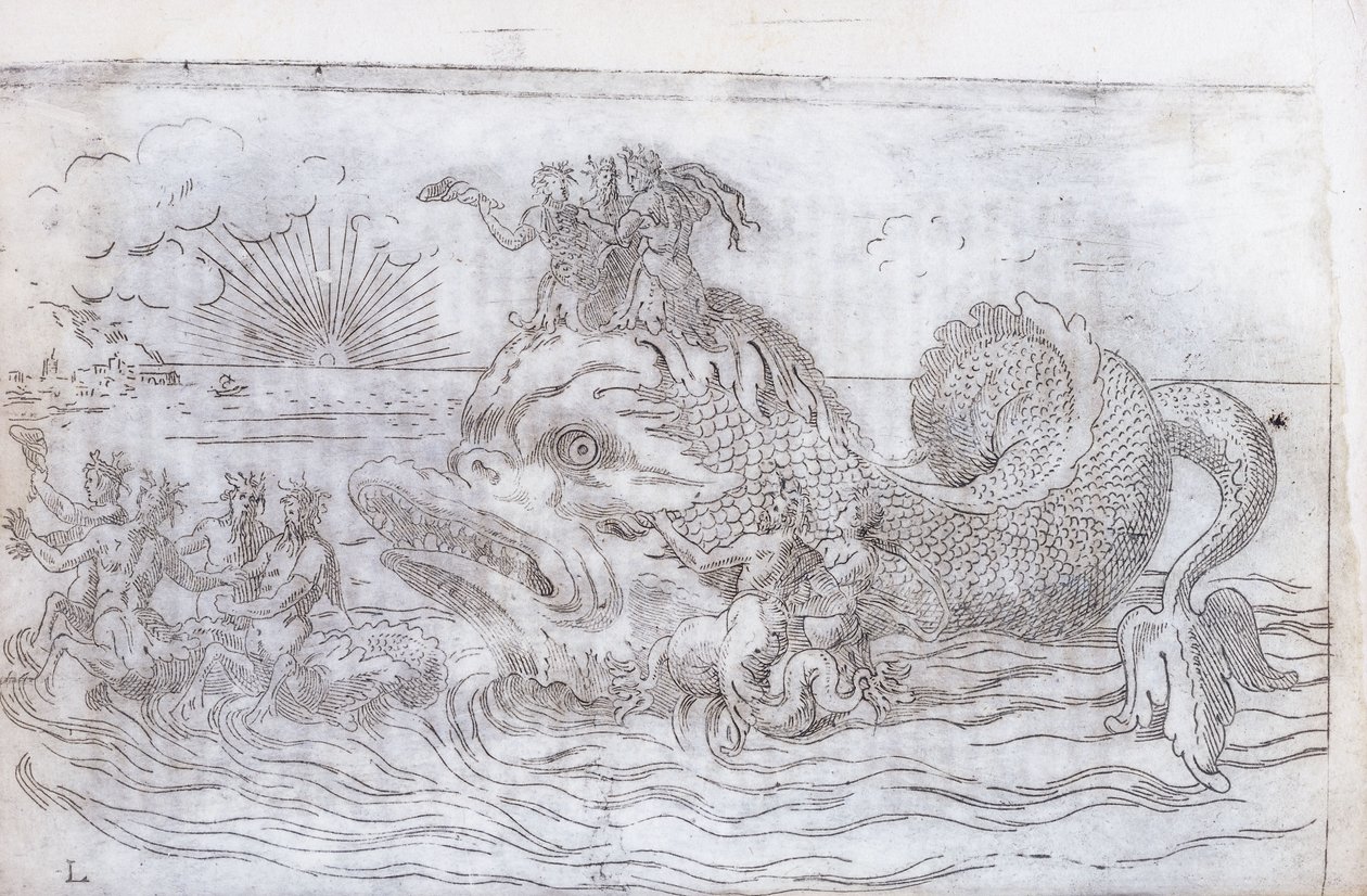 Een Fantastische Viswagen, 1579 door Italian School
