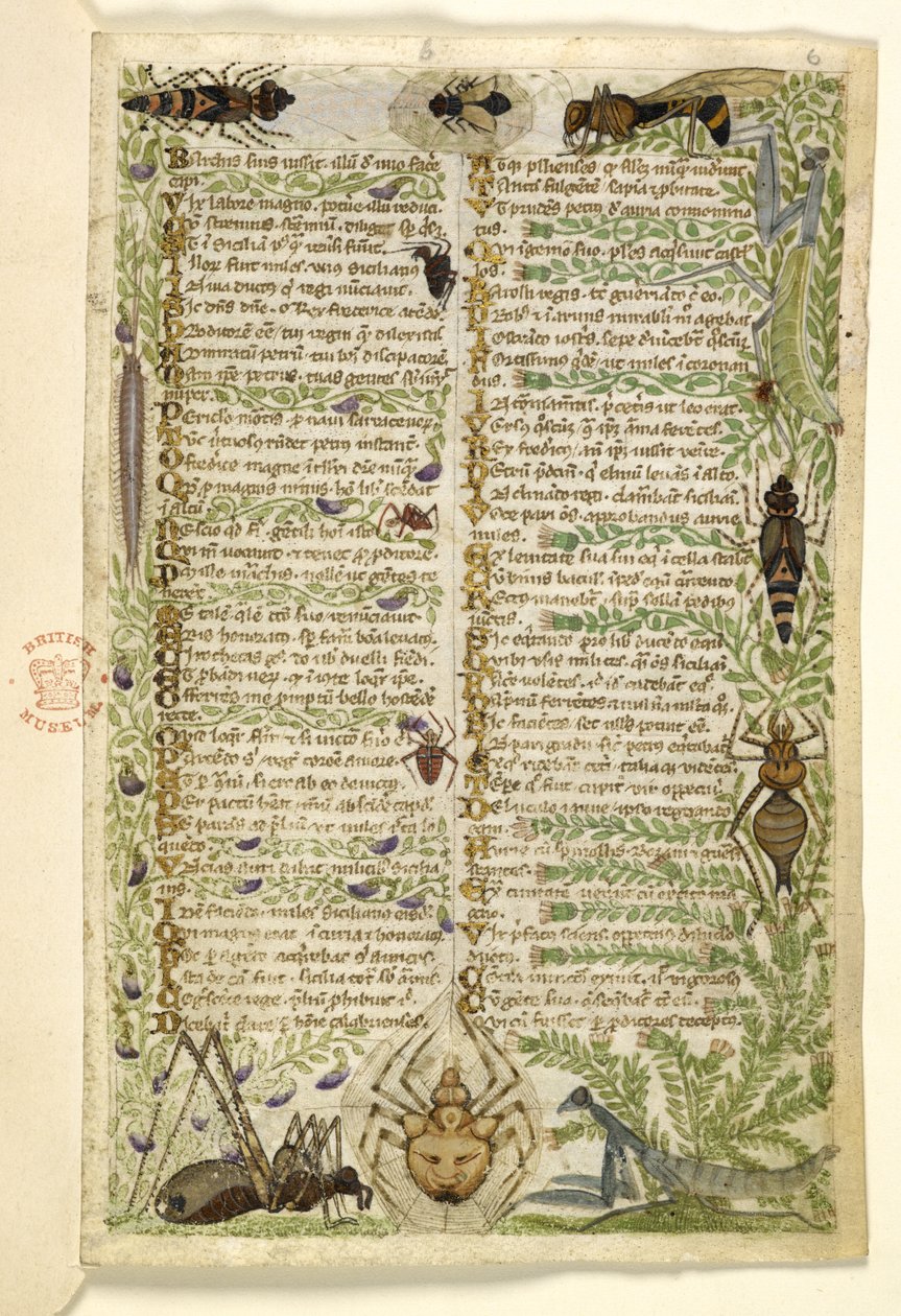 Bladeren uit een proza verhandeling over de Zeven Ondeugden en een vers over gebeurtenissen uit de geschiedenis van Sicilië in de tijd van Frederik II, door Cocharelli, c.1330-40 door Italian School