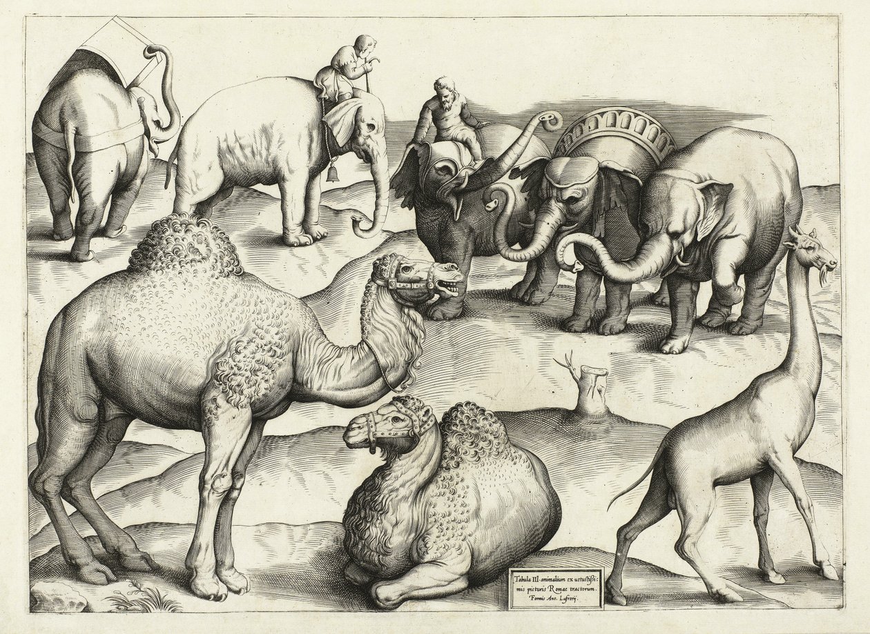 Dierschilderijen uit het oude Rome, Tafel, 3., pub. Antonio Lafrere 1528 door Italian School