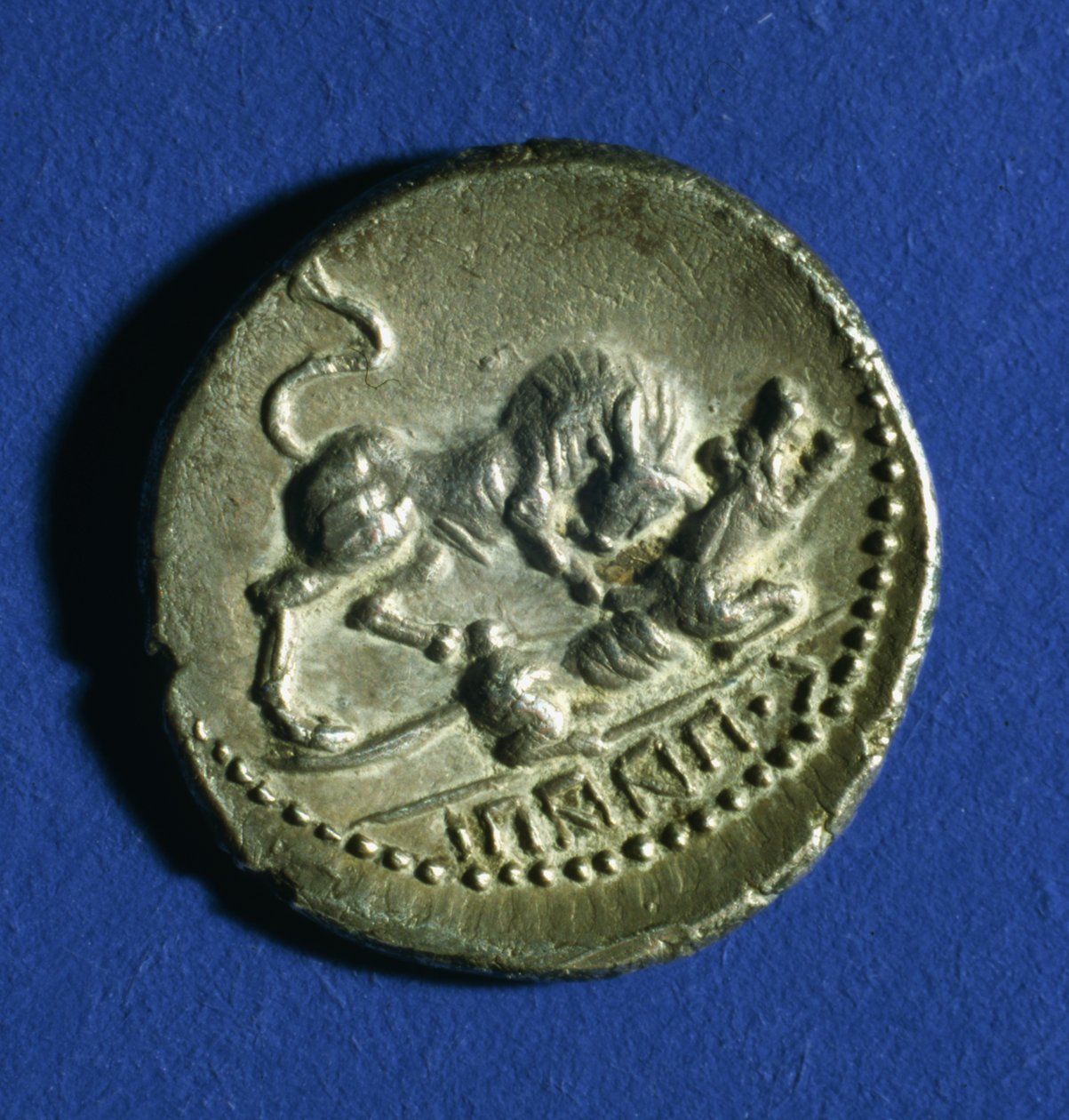 Munt van de Italische Stammen met een stier die de Romeinse wolvin aanvalt, 89-90 v.Chr. door Italian School
