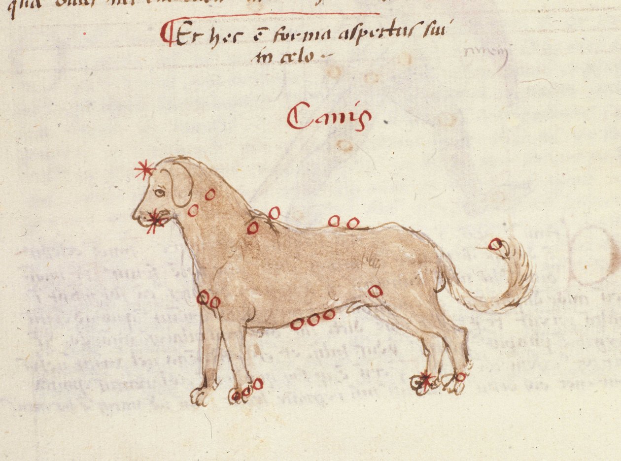 Constellatie van de hond (Canis) door Italian School
