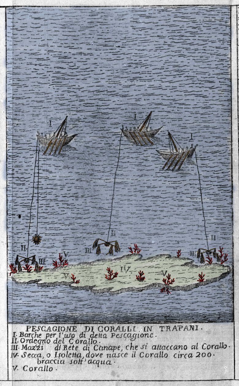Koraalvissen in de Golf van Trapani in Sicilië, een voorstelling van kleine onderwatereilanden waar koraalvaten worden gevormd. Gravure uit 