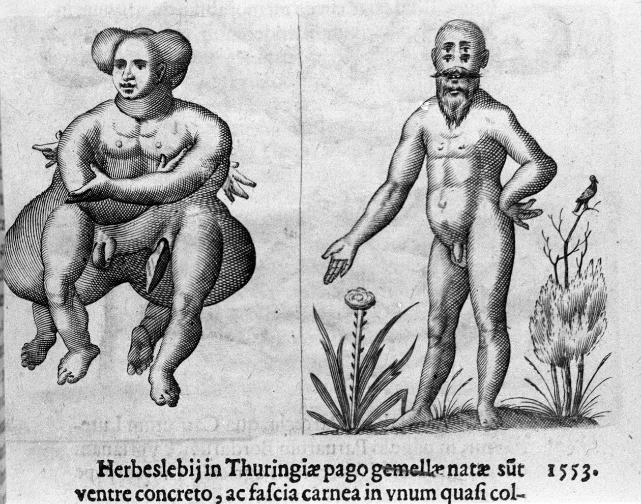 Verschillende soorten menselijke monsters. Gravure uit 