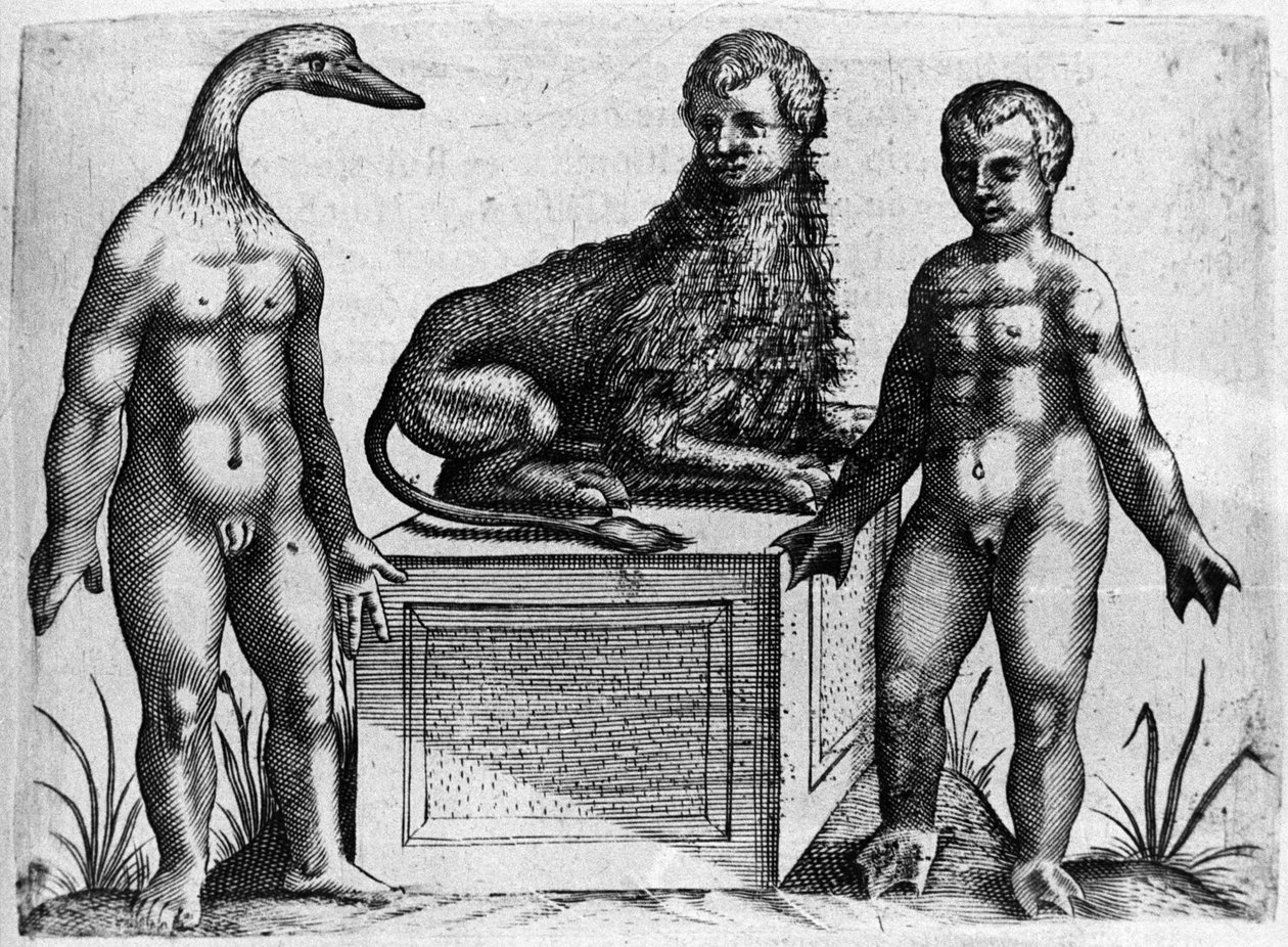 Verschillende soorten menselijke monsters: een man met het hoofd van een eend, een man met het lichaam van een leeuw en een andere met handpalmen. Gravure uit 