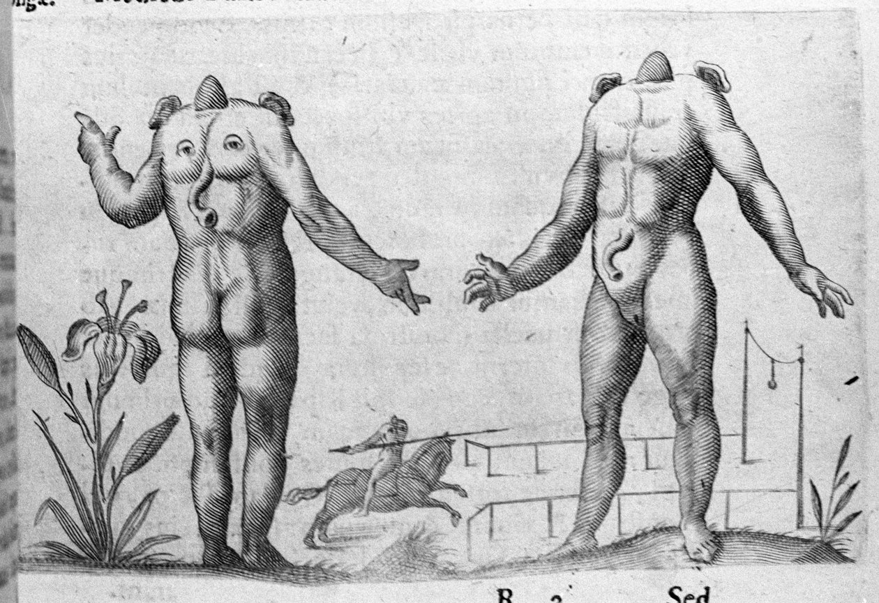 Verschillende soorten menselijke monsters: een man zonder hoofd. Gravure uit 