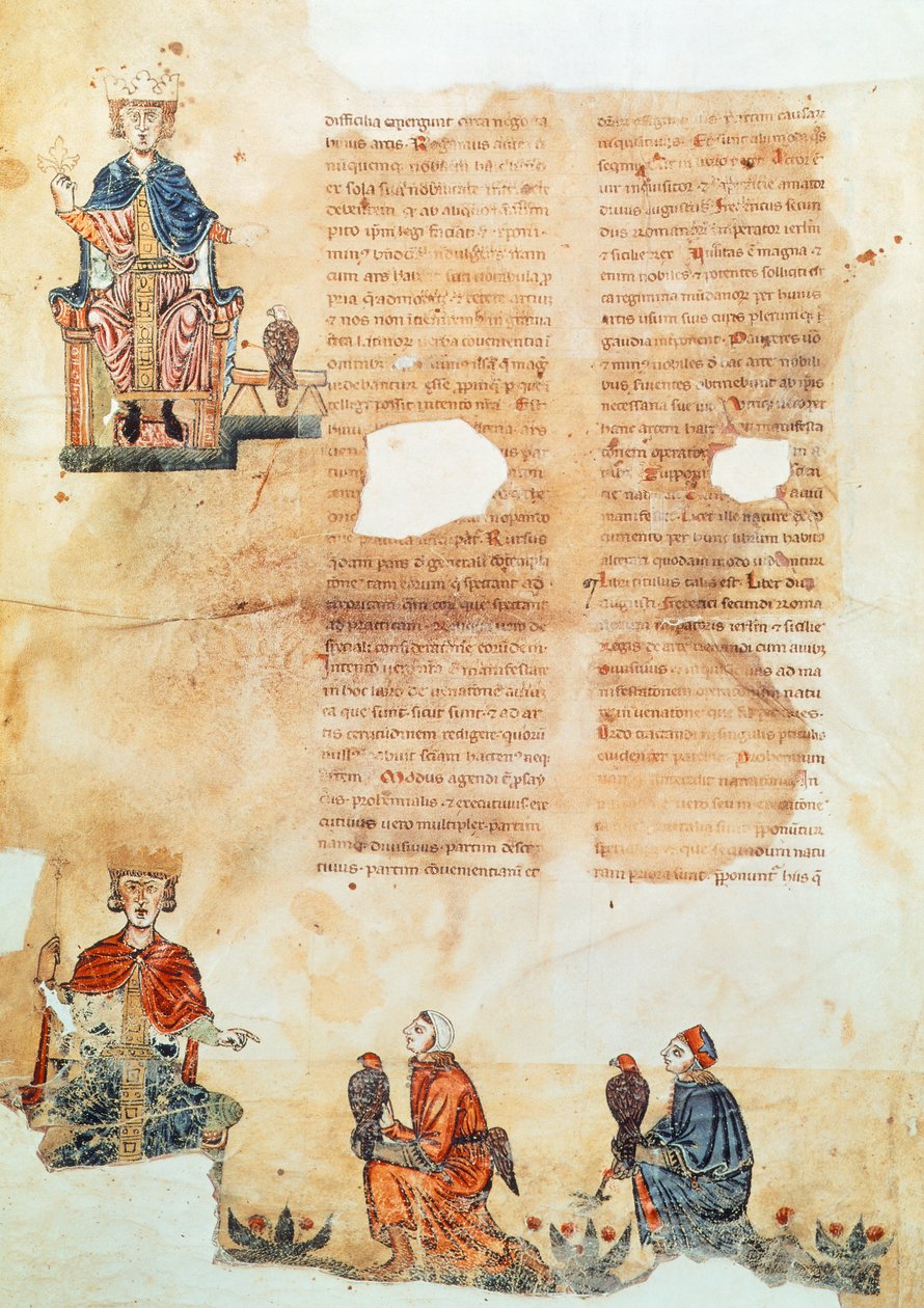 Keizer Frederik II van Hohenstaufen, illustratie uit 