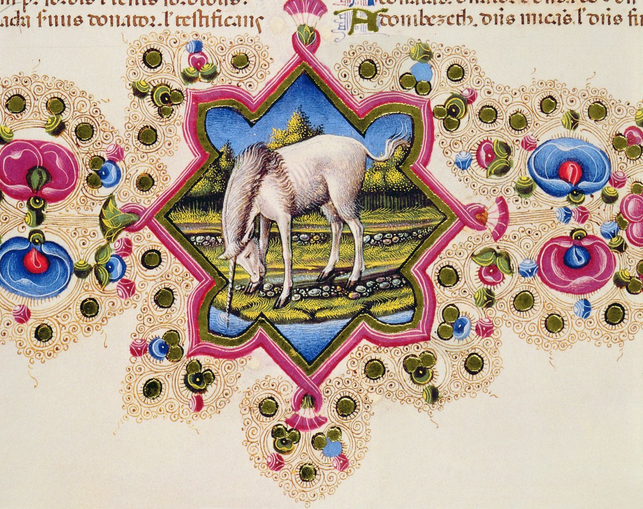 Fol.245V Een Eenhoorn, uit de Borso d