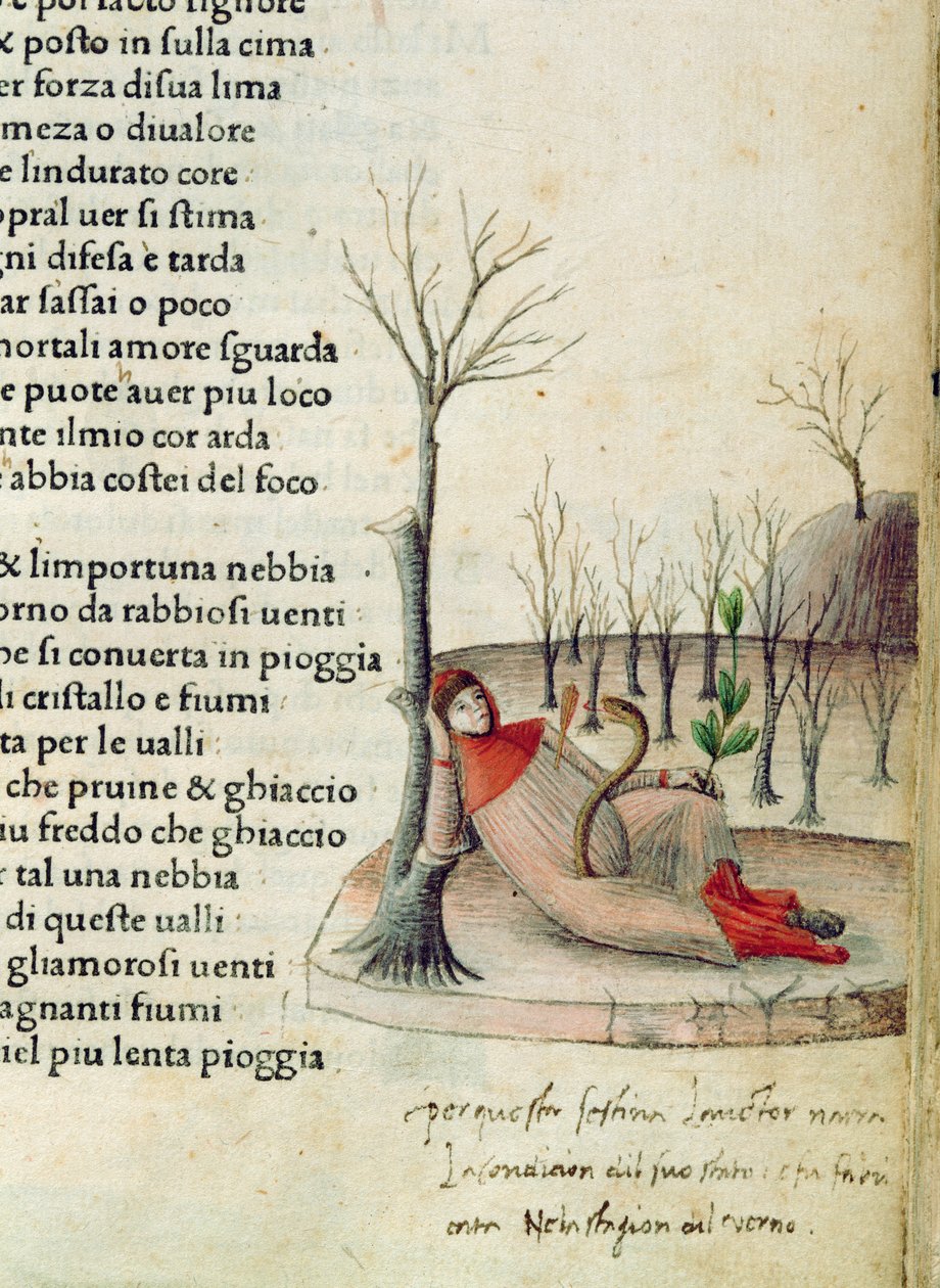 Fol. 52r uit 