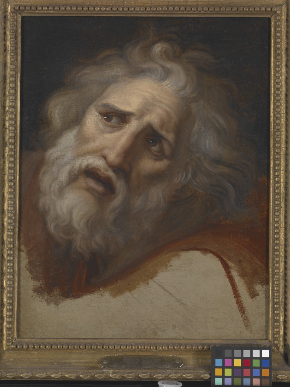 Hoofd Van Laocoon door Italian School