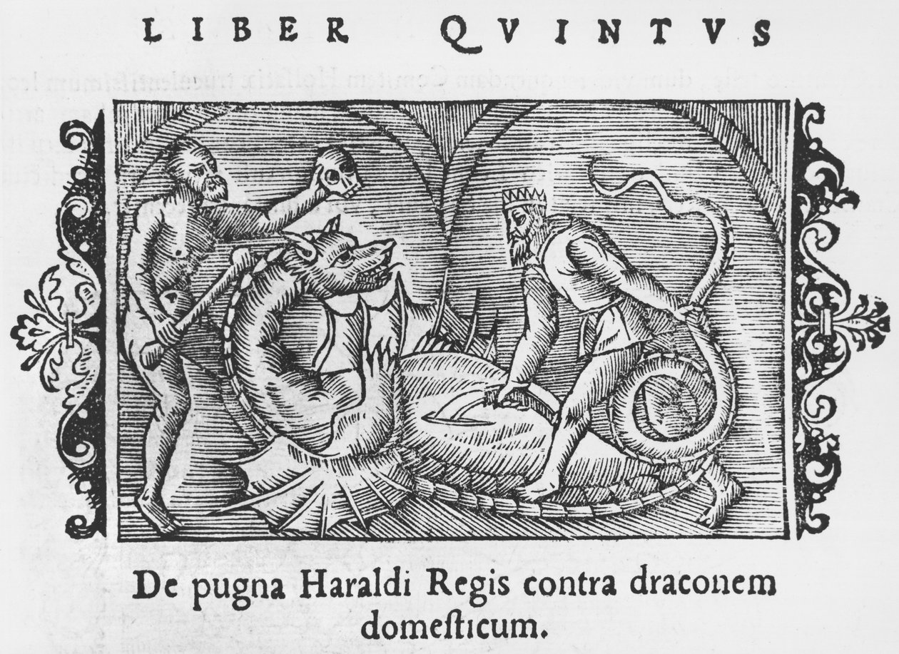 Koning Harald vecht tegen een draak, illustratie uit Historia de Gentibus Septentrionalibus door Olaus Magnus (1490-1558), gepubliceerd in Rome, 1555 door Italian School