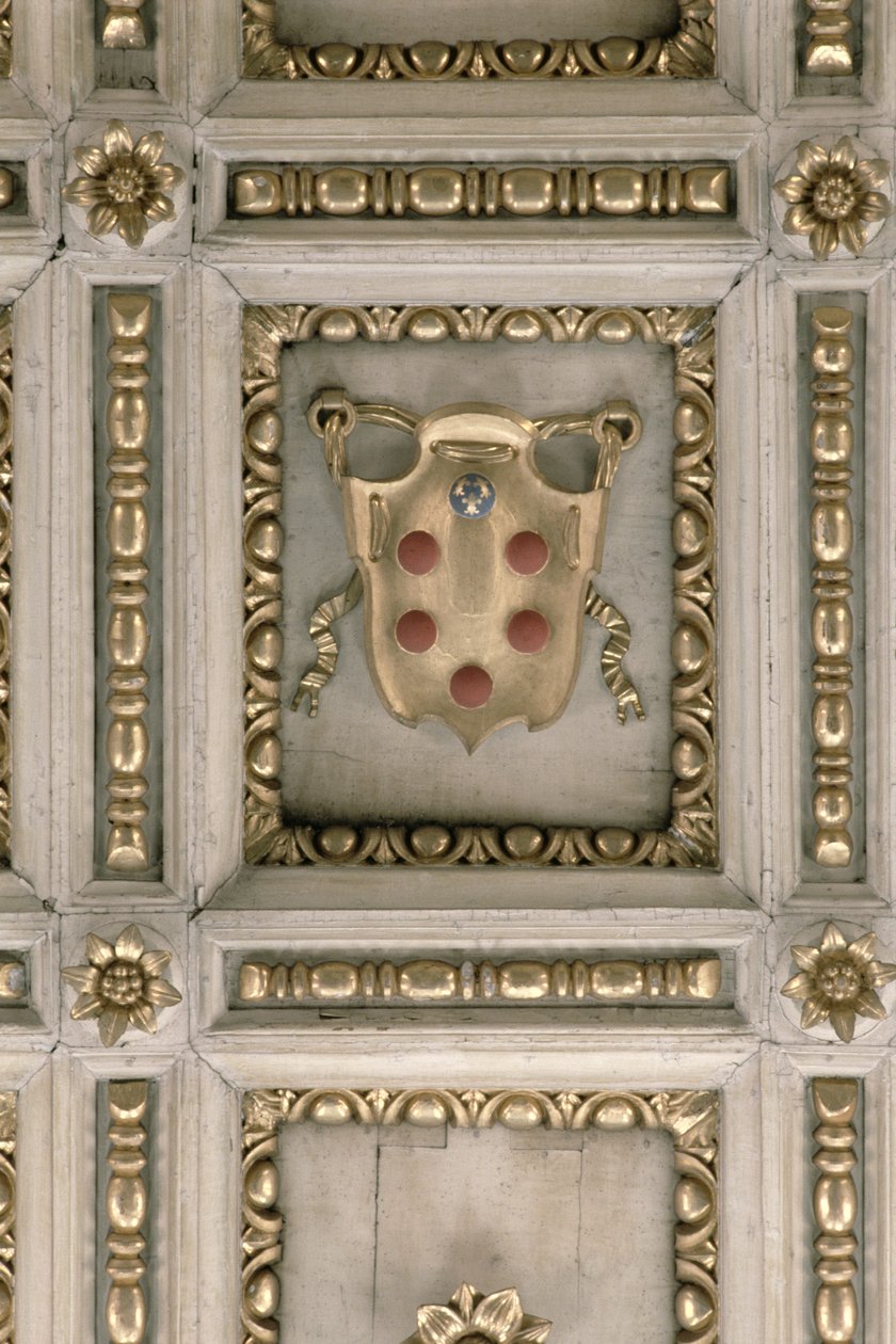 Medici Wapen, van het Plafond van de Kerk door Italian School
