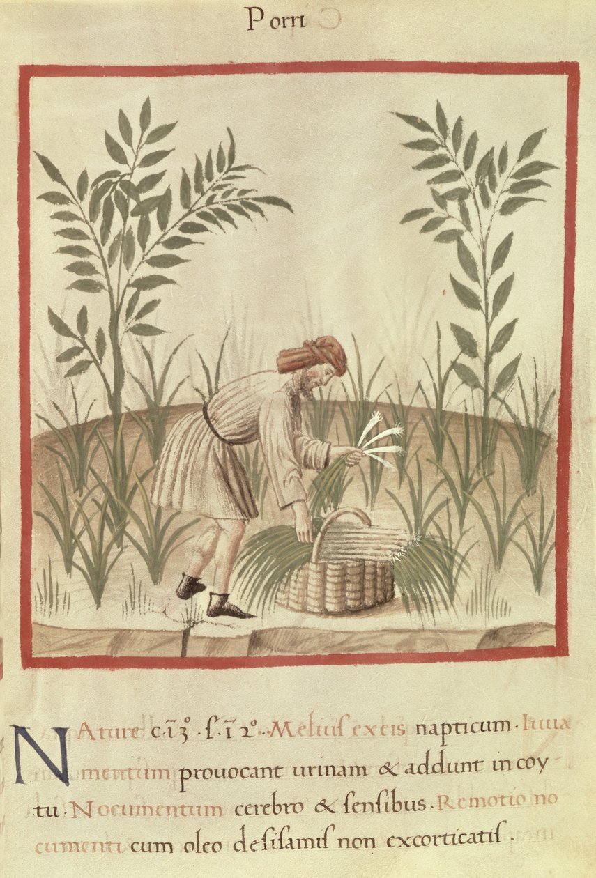Ms 3054 f.22 Prei Oogsten, uit 