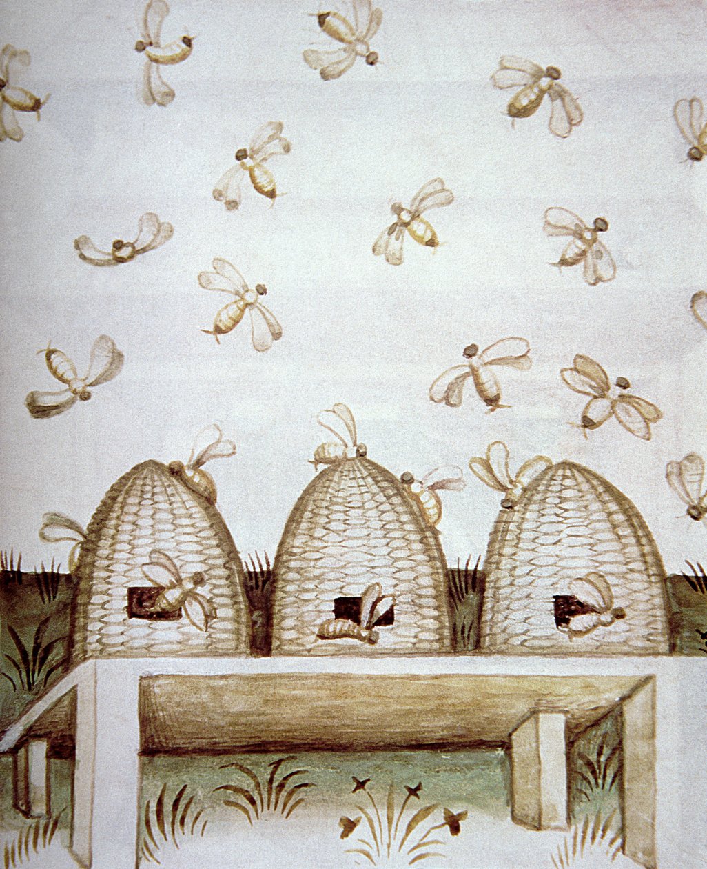 Nova 2644 fol.94v Bijenkorven, uit Tacuinum Sanitatis door Italian School