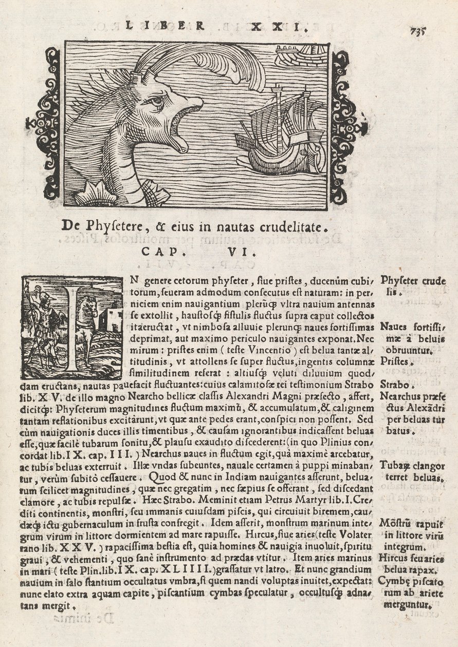 Pagina 735 uit Historia De Gentivus Septentrionalibus door Magnus Olaus, Rome 1565 door Italian School