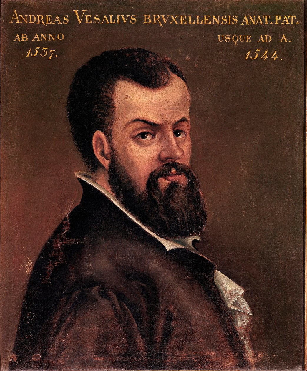 Portret van Andre Vesale (Andreas Vesalius) (1514-1564), anatoom en arts van Karel V anoniem schilderij van de Italiaanse school. 16e eeuw Padua, Universiteit door Italian School