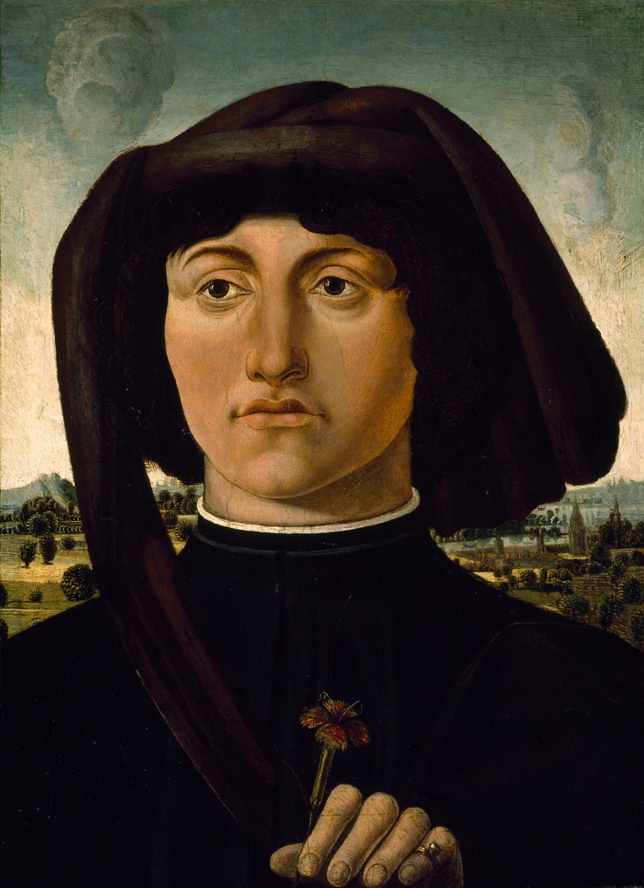 Portret van een jonge man met een roze bloem, ca. 1475-85 door Italian School