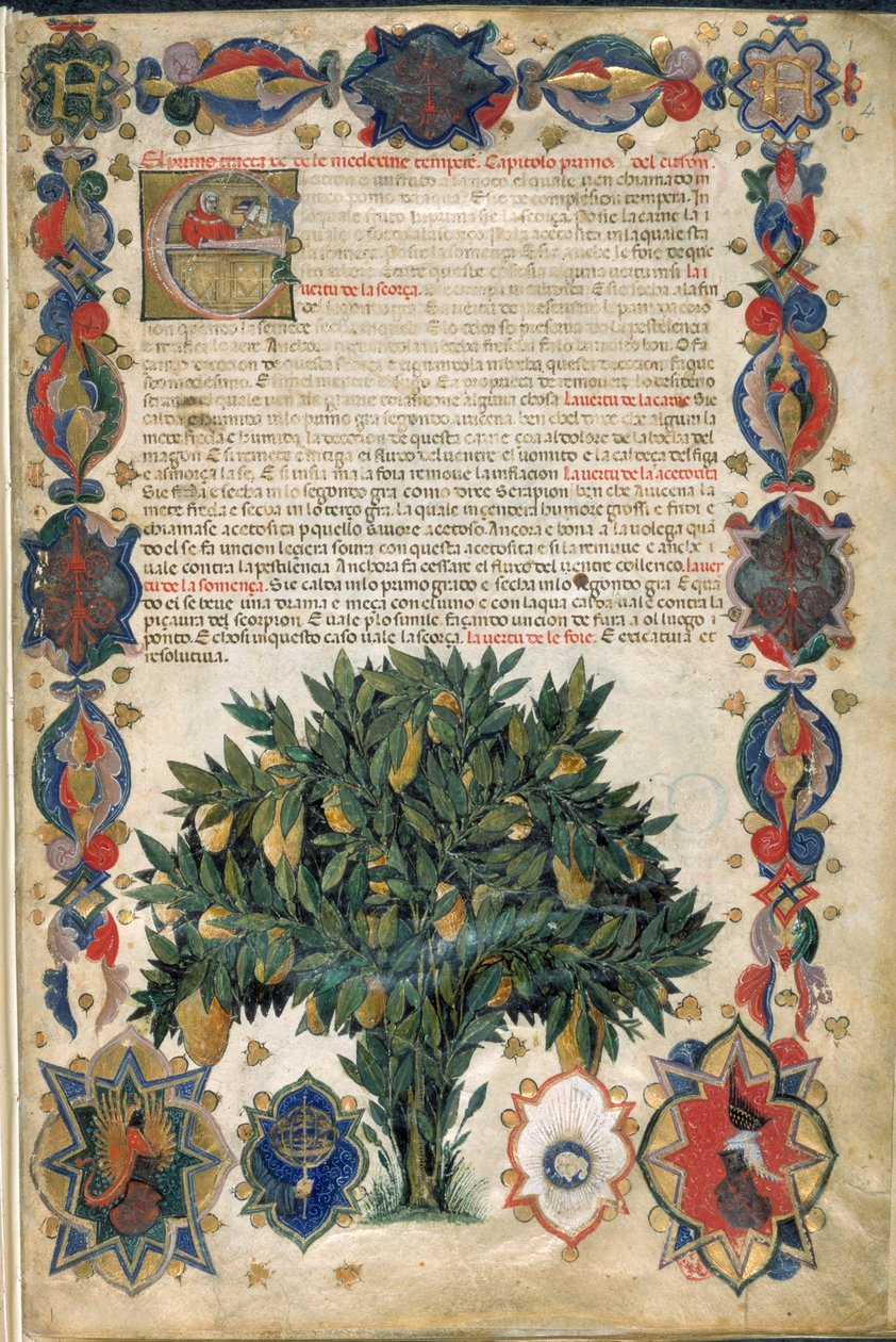 Tekstpagina met sierlijke randen, illustratie uit 