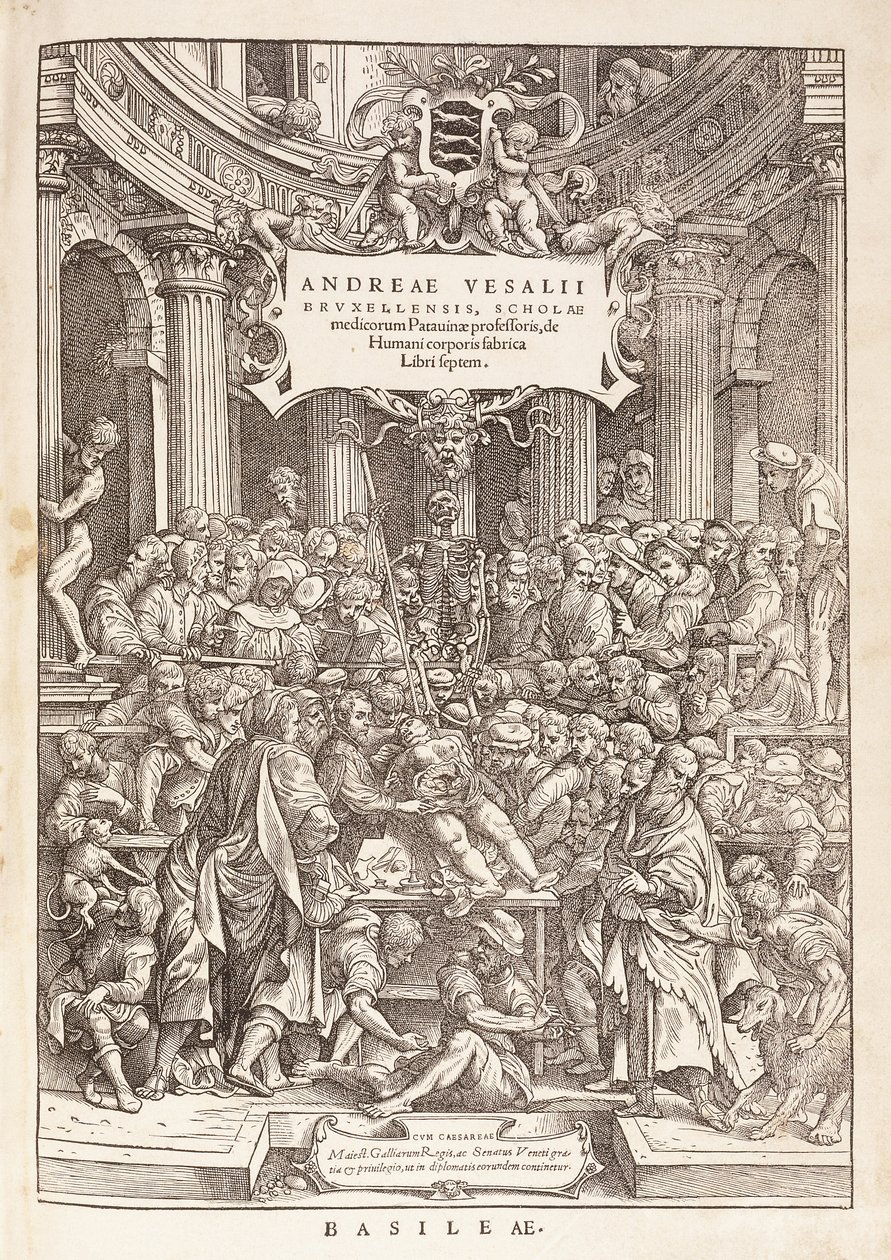 De auteur voert een anatomische dissectie uit in een chirurgisch theater, 1543 door Italian School