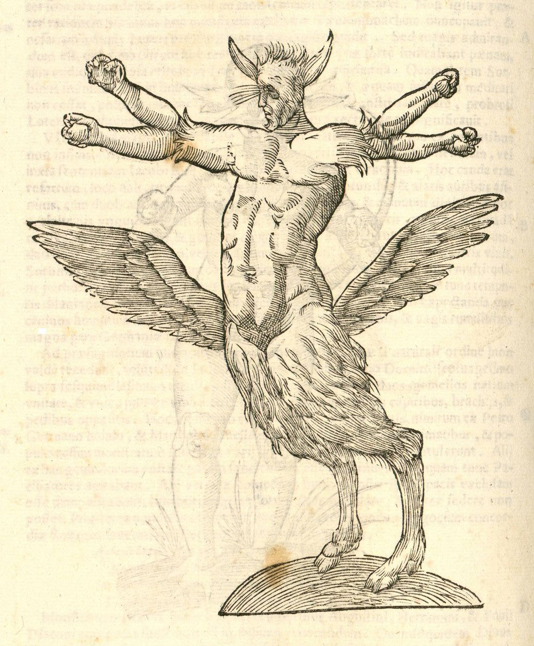 Illustratie van Monstrum tetrachiron alatum capite humano aurito uit Aldrovandi