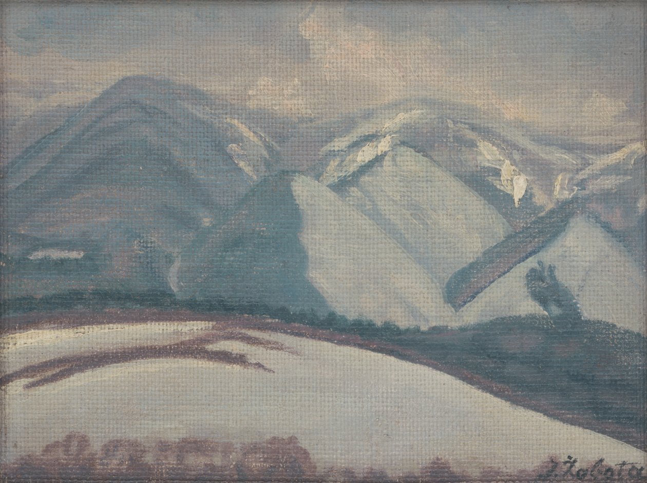 Besneeuwde bergen door Ivan Zabota