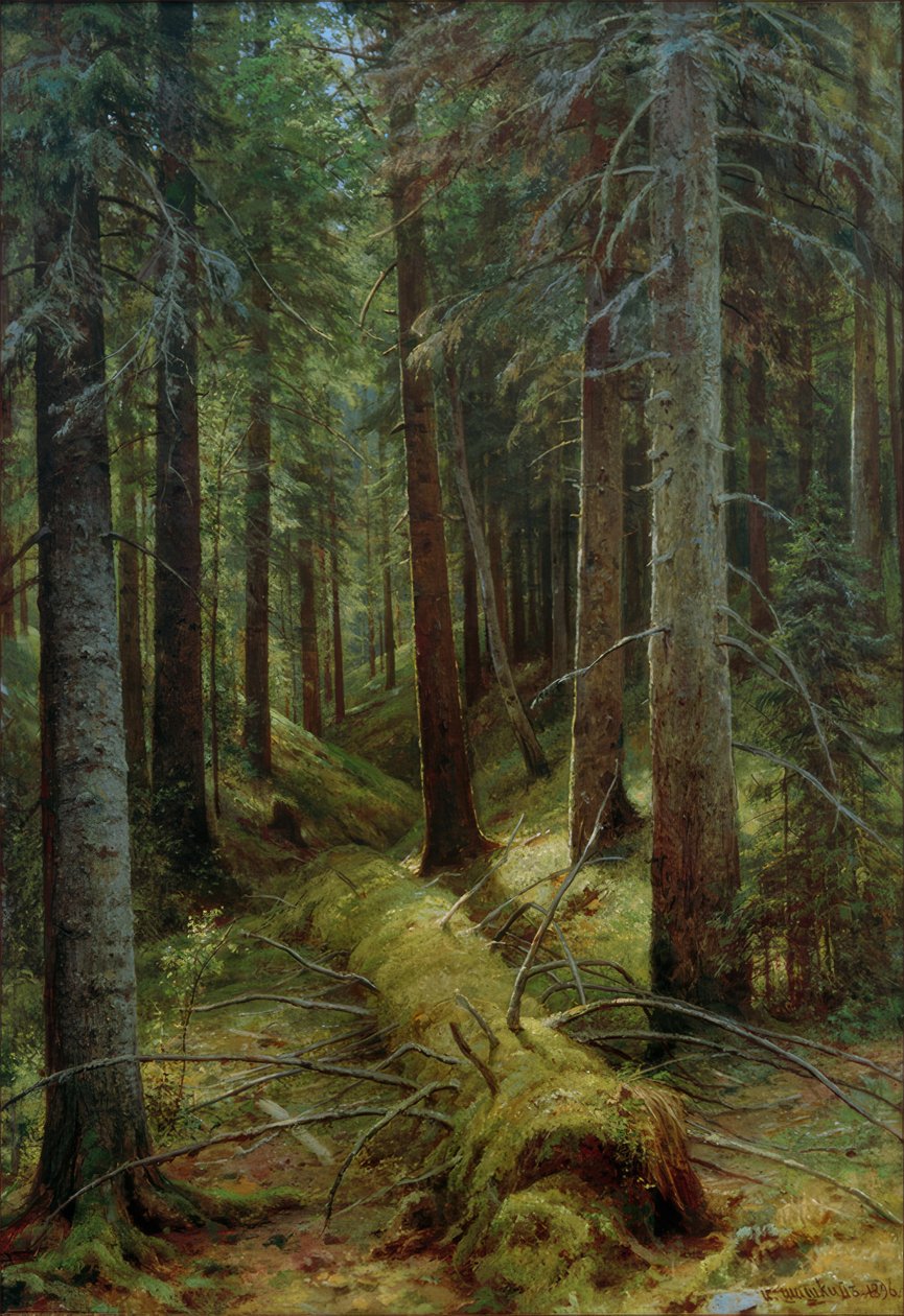 In het Russische bos door Ivan Ivanovich Shishkin