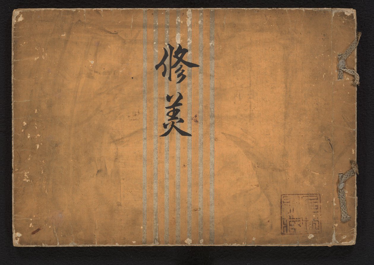 Studie van schoonheid door Iwasaki Shôun
