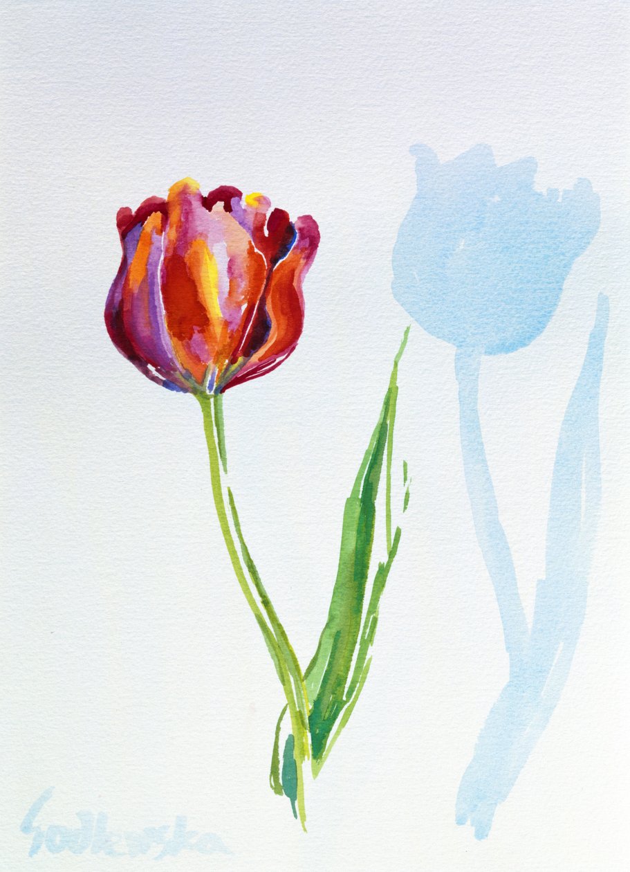 Tulp door Izabella Godlewska de Aranda