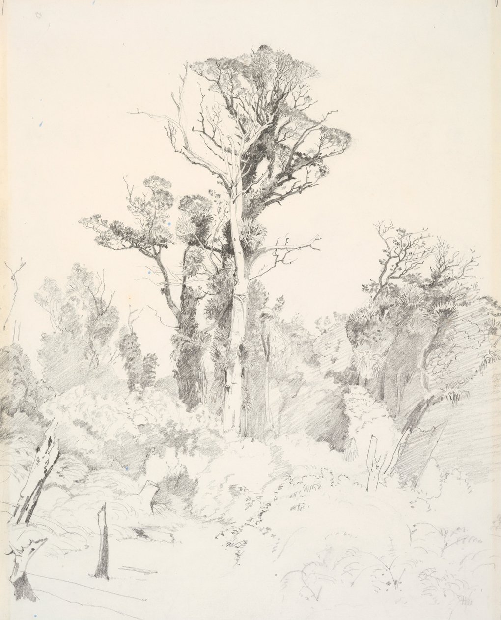 Gedetribaliseerde inboorlingen, Taranaki door J. C. Richmond
