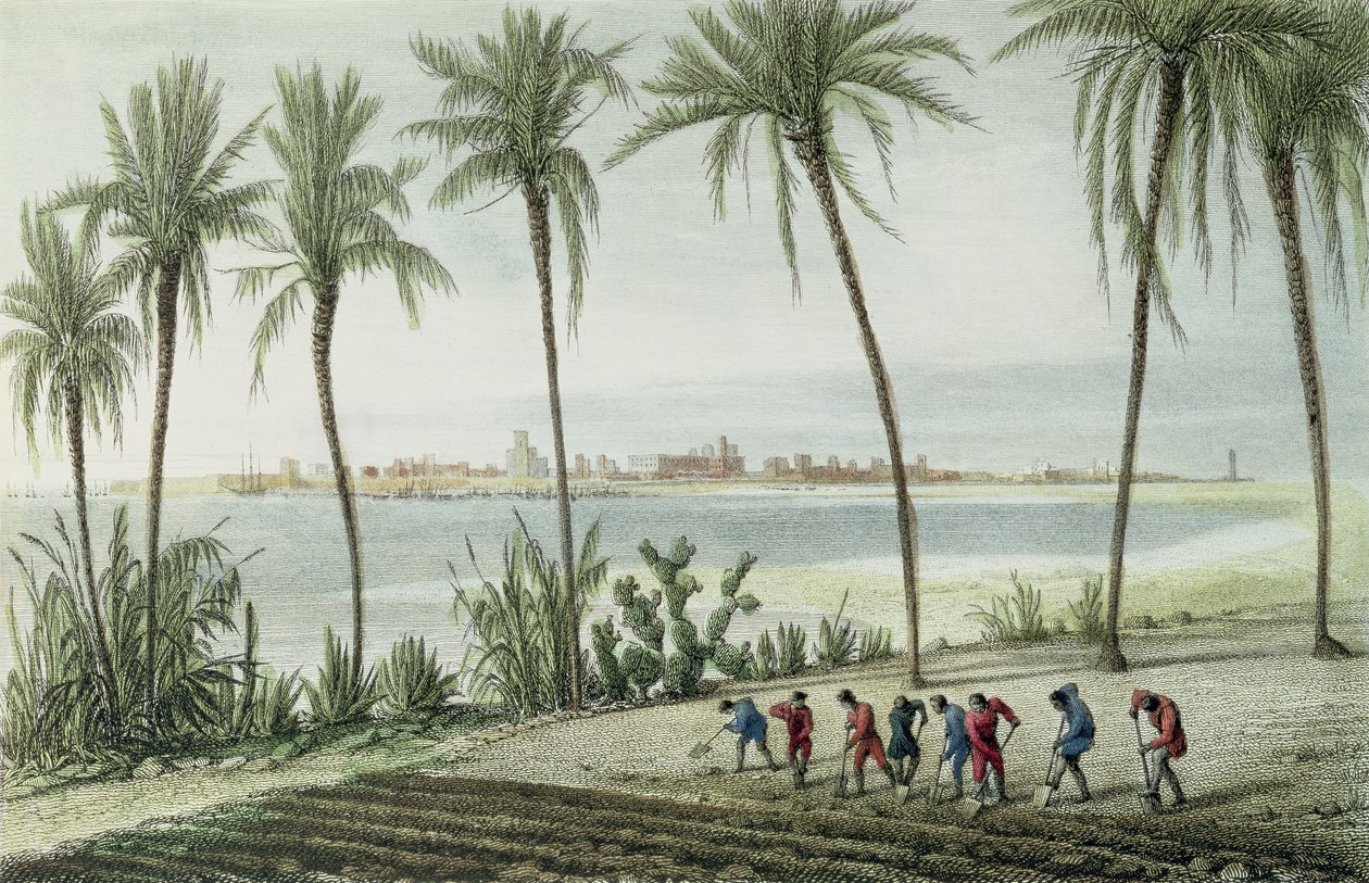 Algemeen uitzicht op Cadiz, gegraveerd door John Pye (1782-1874) door J. Taylor